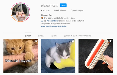 Your Brand on Instagram: PLEASANTCATS 1.4M Followers - ViralPets Store